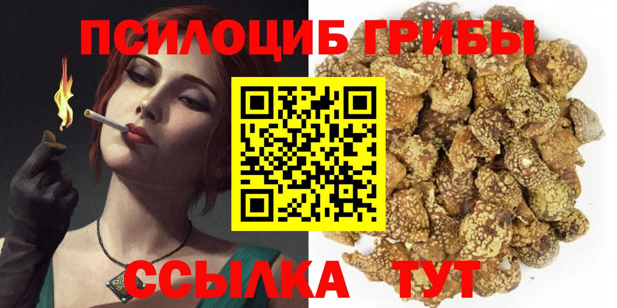 Псилоцибиновые грибы Cubensis Боровичи