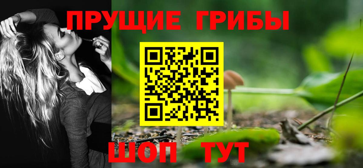 хочу наркоту  Вход с VPN  Боровичи  Галлюциногенные грибы MAGIC MUSHROOMS 